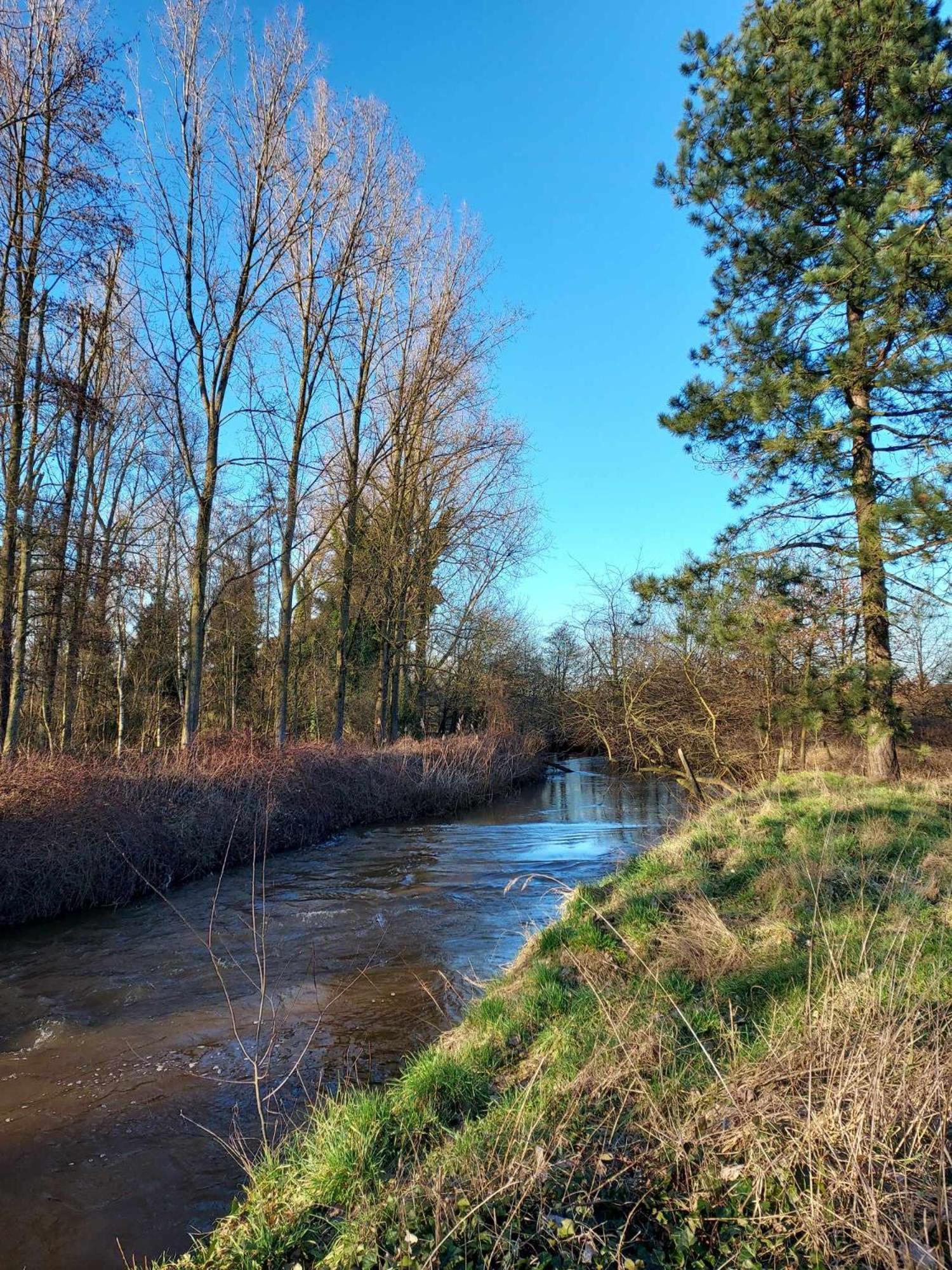 Rustig Gelegen Chalet Kapeki Met Tuin Aan Het Water Geel Dış mekan fotoğraf
